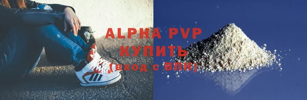 индика Щигры