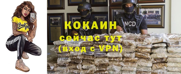 Альфа ПВП Белокуриха