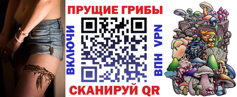 магазин продажи наркотиков Ногинск Псилоцибиновые грибы Psilocybe