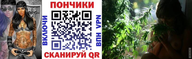 ОМГ ОМГ ссылки  цена   Ногинск  Бошки Шишки OG Kush 